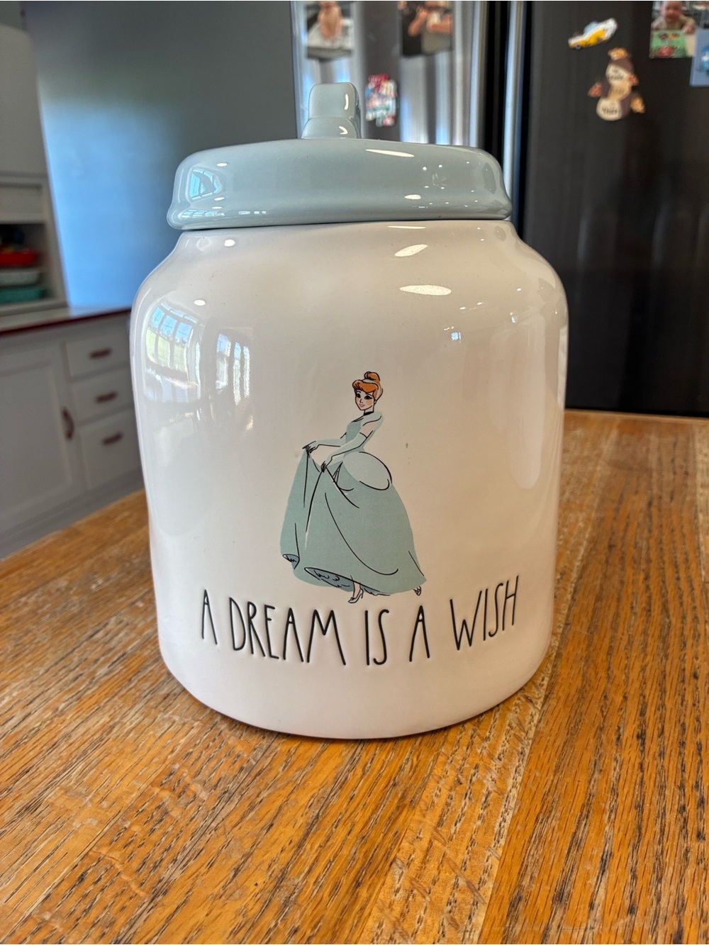 Rae Dunn Cinderella canister A dream is a wish.